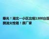 曝光！湖北一小区出现1300台冒牌消火栓箱！原厂家