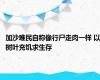 加沙难民自称像行尸走肉一样 以树叶充饥求生存