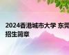 2024香港城市大学 东莞招生简章