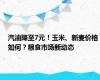 汽油降至7元！玉米、新麦价格如何？粮食市场新动态