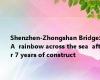 Shenzhen-Zhongshan Bridge: A  rainbow across the sea  after 7 years of construct