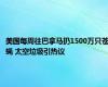 美国每周往巴拿马扔1500万只苍蝇 太空垃圾引热议