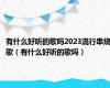 有什么好听的歌吗2023流行串烧歌（有什么好听的歌吗）