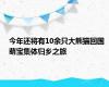 今年还将有10余只大熊猫回国 萌宝集体归乡之旅