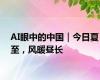 AI眼中的中国｜今日夏至，风暖昼长