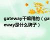 gateway干嘛用的（gateway是什么牌子）