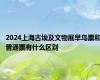 2024上海古埃及文物展早鸟票和普通票有什么区别