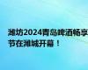 潍坊2024青岛啤酒畅享节在潍城开幕！