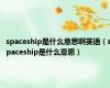 spaceship是什么意思啊英语（spaceship是什么意思）