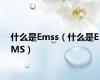 什么是Emss（什么是EMS）