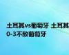 土耳其vs葡萄牙 土耳其0-3不敌葡萄牙