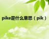 pike是什么意思（pik）