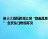 连日大雨后西湖边现“群鱼乱舞” 鱼跃龙门奇观再現