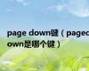 page down键（pagedown是哪个键）