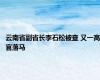 云南省副省长李石松被查 又一高官落马