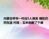 内蒙古呼市一村庄5人遇害 嫌犯仍然在逃 村民：玉米地翻了个遍