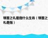 顿首之礼是指什么生肖（顿首之礼是指）