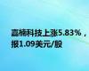 嘉楠科技上涨5.83%，报1.09美元/股