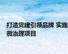 打造党建引领品牌 实施微治理项目