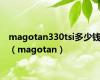 magotan330tsi多少钱（magotan）