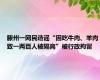 滕州一网民造谣“因吃牛肉、羊肉致一两百人被隔离”被行政拘留