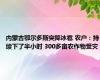 内蒙古鄂尔多斯突降冰雹 农户：持续下了半小时 300多亩农作物受灾