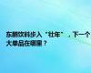 东鹏饮料步入“壮年”，下一个大单品在哪里？