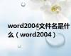 word2004文件名是什么（word2004）