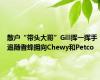 散户“带头大哥”Gill挥一挥手 追随者蜂拥向Chewy和Petco