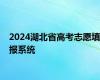 2024湖北省高考志愿填报系统