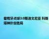 葡萄牙点球3:0斯洛文尼亚 科斯塔神扑定胜局