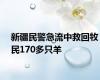 新疆民警急流中救回牧民170多只羊