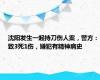 沈阳发生一起持刀伤人案，警方：致3死1伤，嫌犯有精神病史