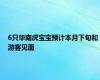 6只华南虎宝宝预计本月下旬和游客见面