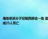 海地帮派分子控制西部省一地 造成25人死亡