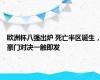 欧洲杯八强出炉 死亡半区诞生，豪门对决一触即发