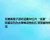 甘肃两男子进村盗掘38公斤“龙骨”：经鉴定均为古脊椎动物化石 双双被判拘役