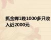 抓金蝉1晚1000多只收入近2000元