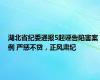 湖北省纪委通报5起诬告陷害案例 严惩不贷，正风肃纪