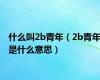 什么叫2b青年（2b青年是什么意思）