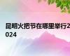 昆明火把节在哪里举行2024