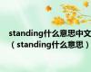 standing什么意思中文（standing什么意思）