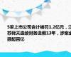 5家上市公司合计被罚1.2亿元，江苏舜天连续财务造假13年，涉案金额超百亿