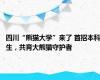 四川“熊猫大学”来了 首招本科生，共育大熊猫守护者