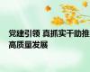 党建引领 真抓实干助推高质量发展