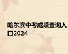 哈尔滨中考成绩查询入口2024