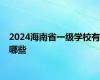 2024海南省一级学校有哪些