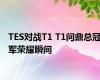 TES对战T1 T1问鼎总冠军荣耀瞬间