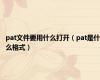 pat文件要用什么打开（pat是什么格式）