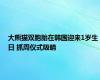 大熊猫双胞胎在韩国迎来1岁生日 抓周仪式吸睛